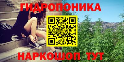 соль ск Краснодар