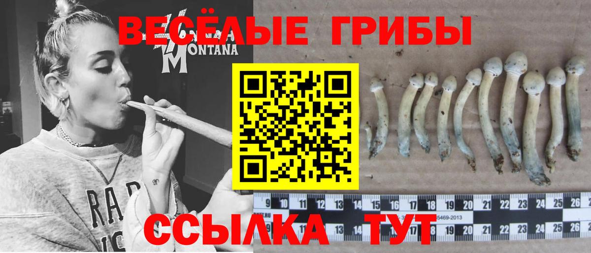Галлюциногенные грибы прущие грибы Бирск