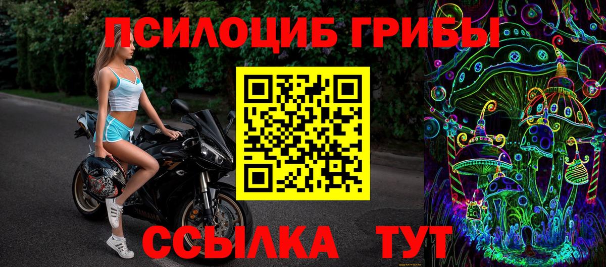 Бирск  Псилоцибиновые грибы Psilocybine cubensis  Вход с VPN 